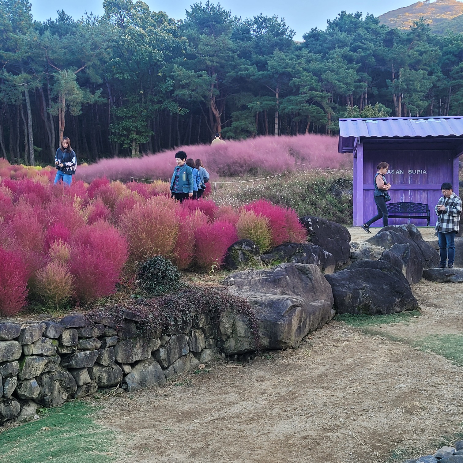 직원문화활동 (10월) 첨부 이미지