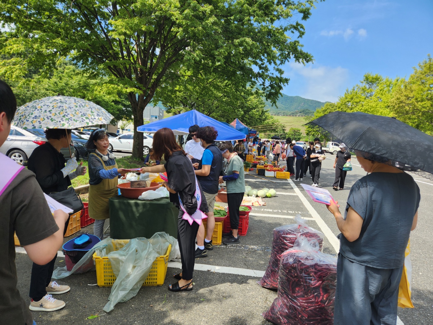 금오장 홍보 첨부 이미지
