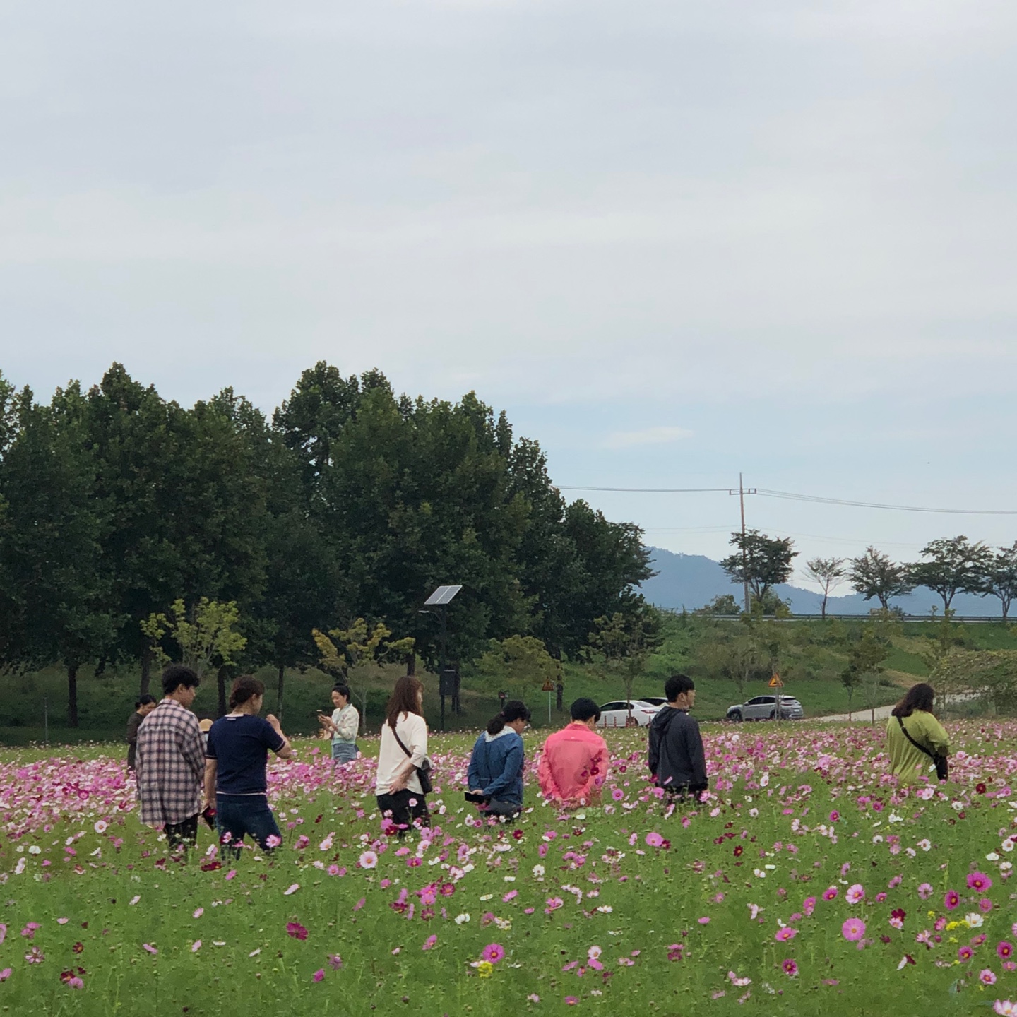 직원 문화활동 첨부 이미지