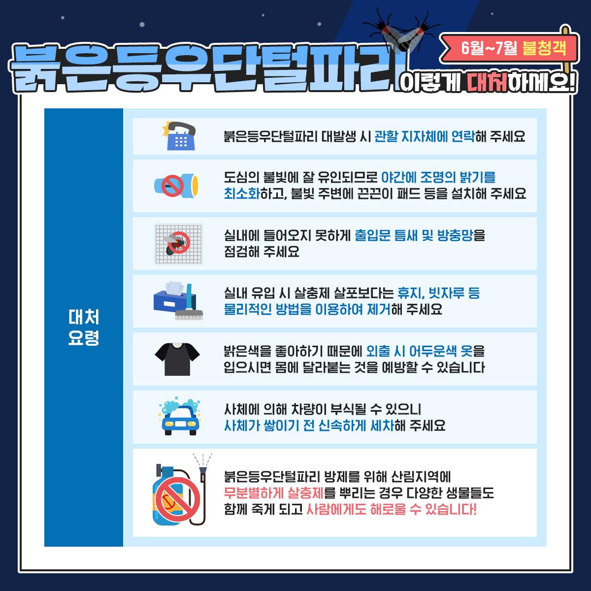 붉은등우단털파리(일명 러브버그) 이렇게 대처하세요!