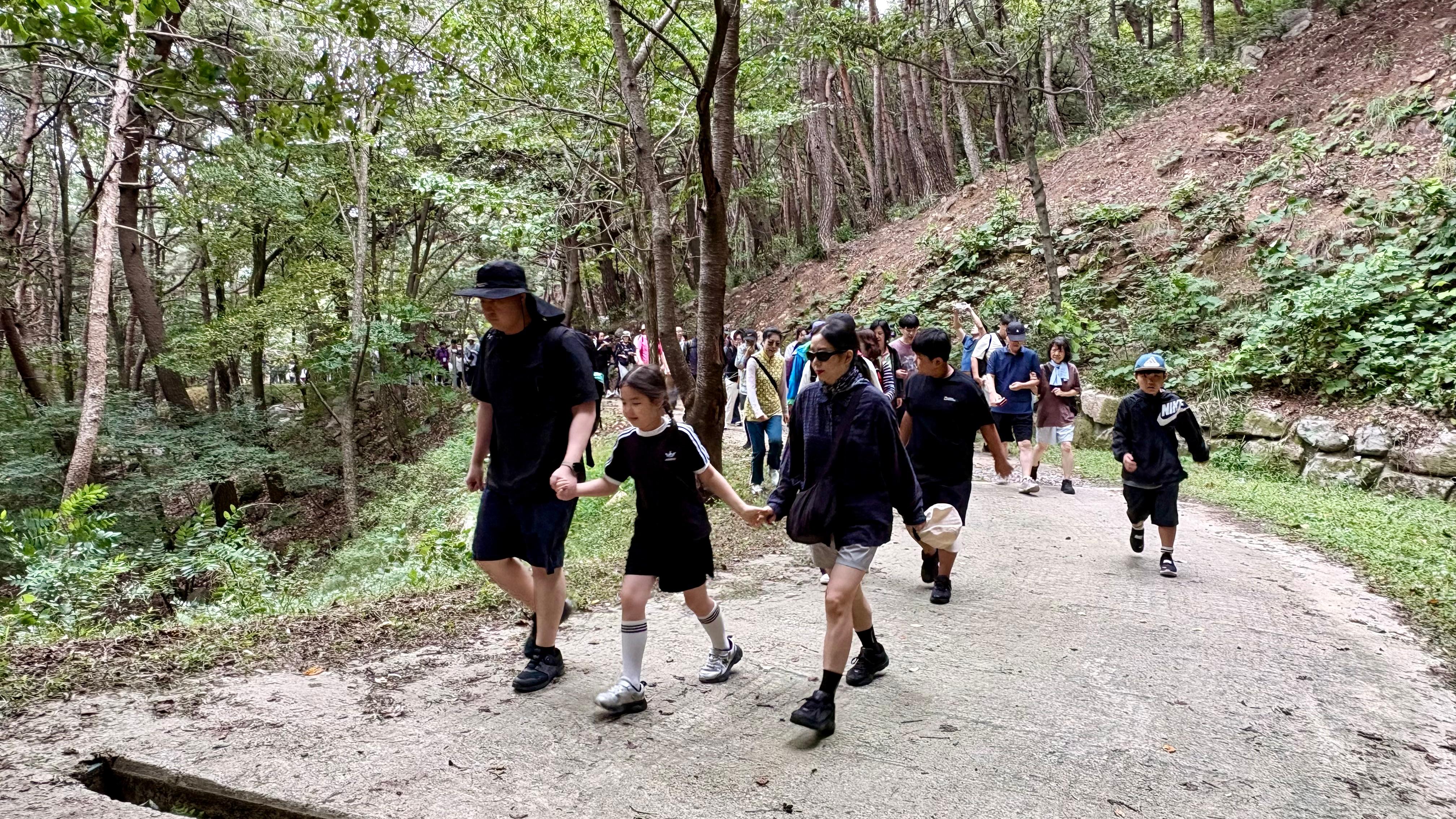 4. [산림과]걷기사진