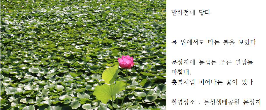 제16회 인문주간 10