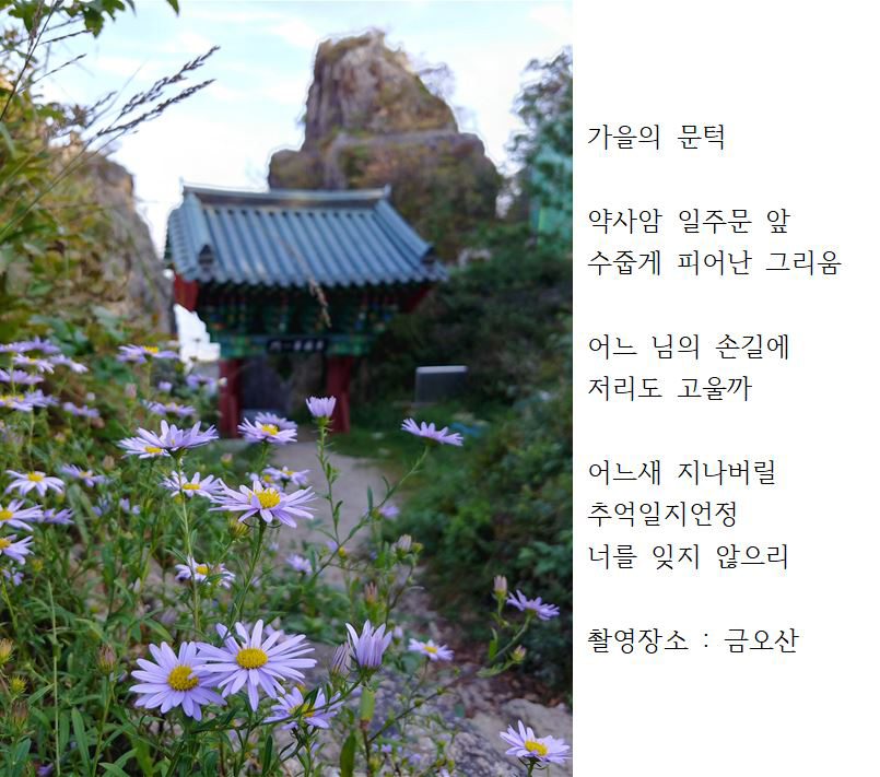 제16회 인문주간 7