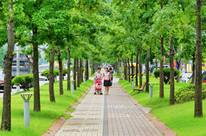 안동 도시숲 조성 이미지1