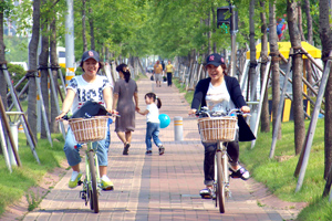 안동 도시숲 조성 이미지3