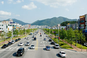 안동 도시숲 조성 이미지4