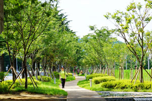 철로변 도시숲 조성 이미지3