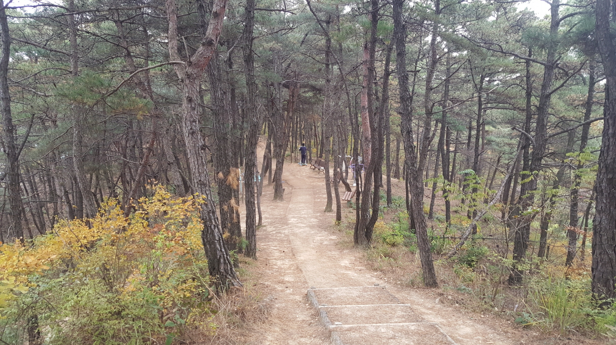 PO2_019_M002 상세보기