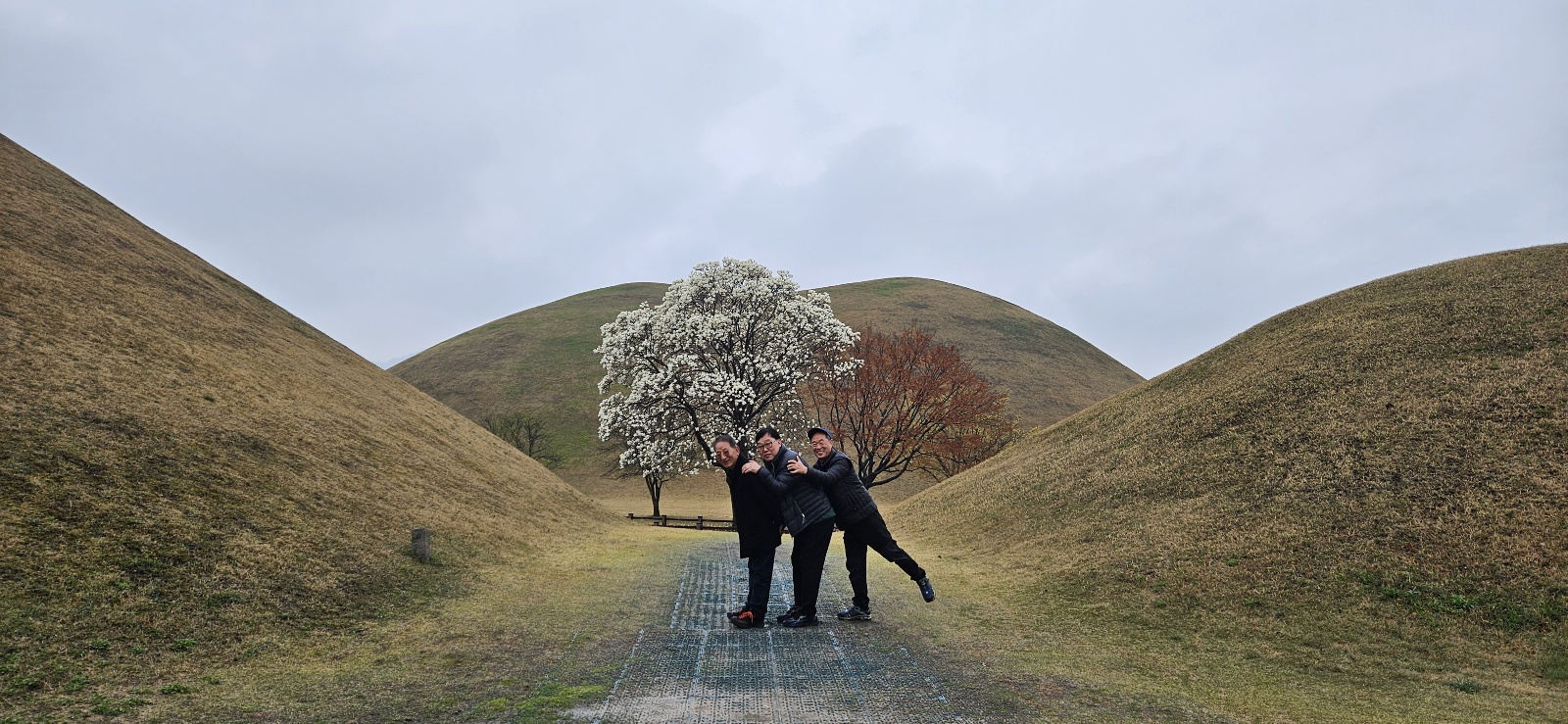 24년 노인일자리 참여자 문화활동 (1차) 첨부 이미지