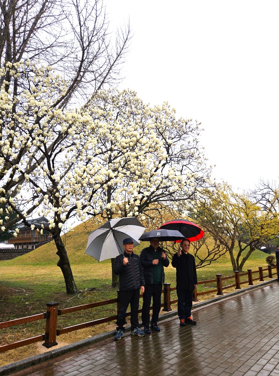 24년 노인일자리 참여자 문화활동 (1차) 첨부 이미지