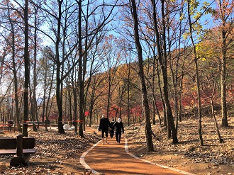 연악산 산림욕장 이미지