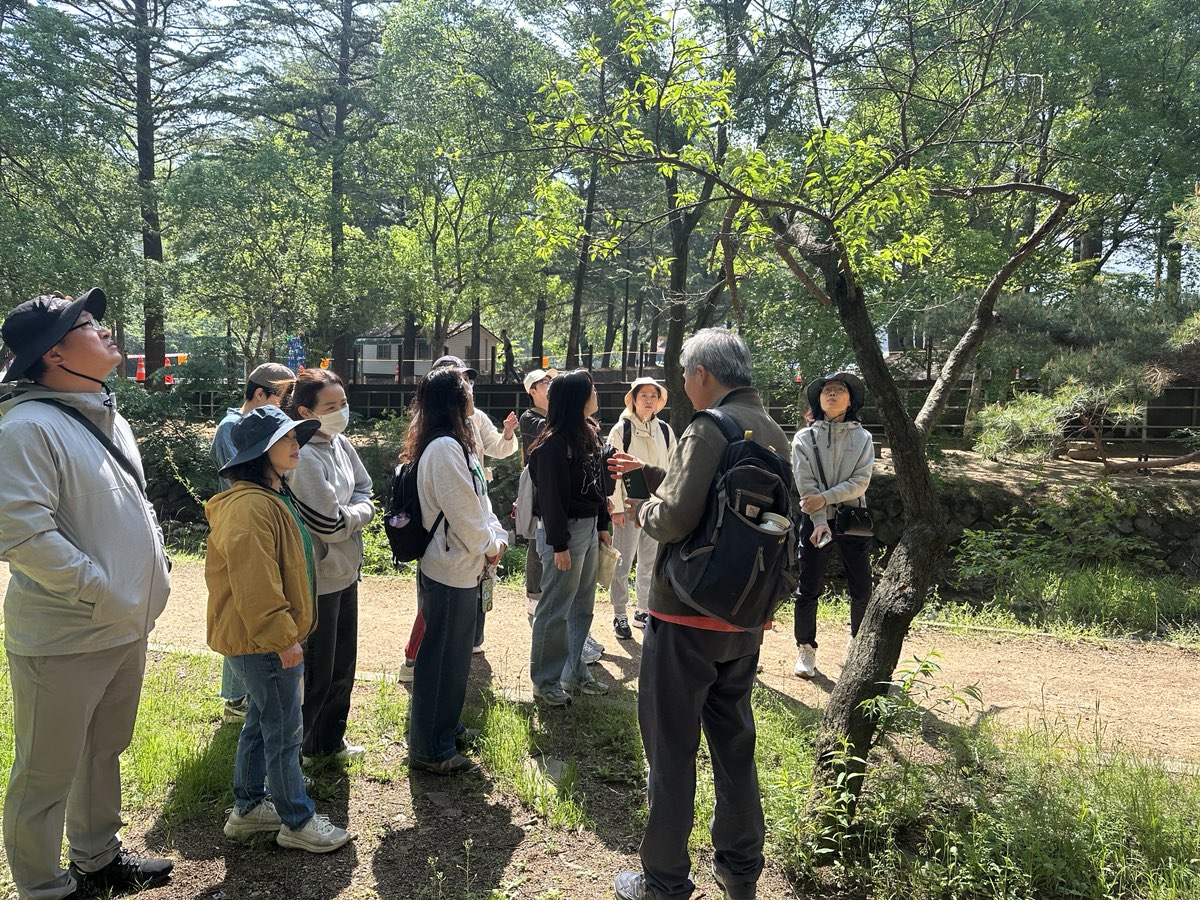 2025년 나무와 인 첨부 이미지