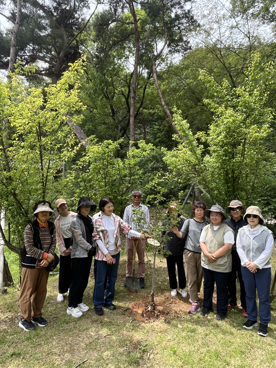 2025년 나무와 인 첨부 이미지