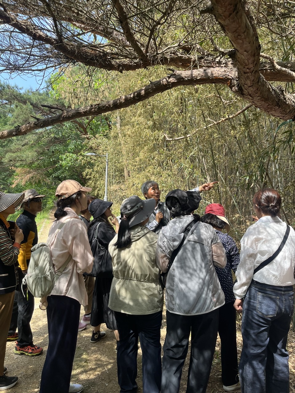 2025년 나무와 인(仁) 첨부 이미지