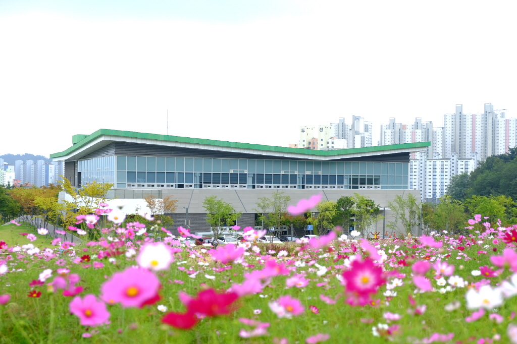 2021年秋季全景（大波斯菊花园景观） 첨부 이미지