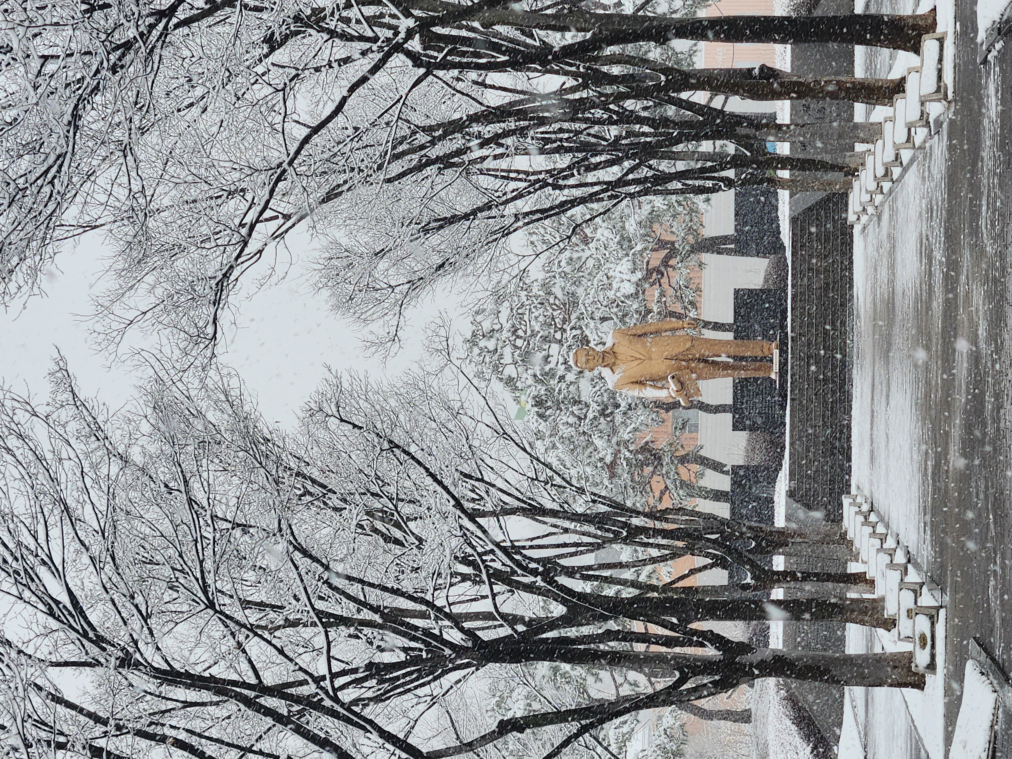 Winter View, 2026 첨부 이미지