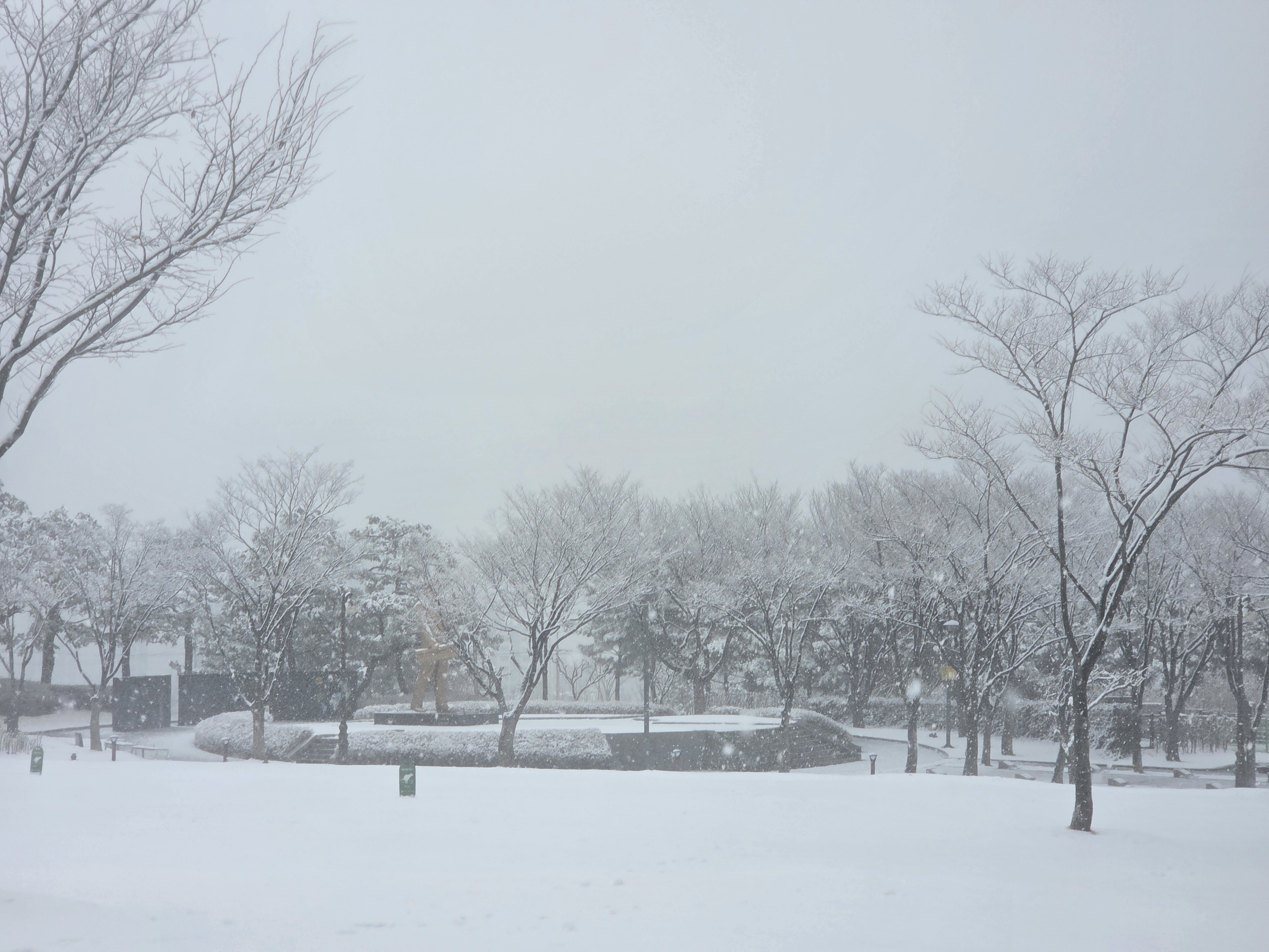 Winter View, 2026 첨부 이미지