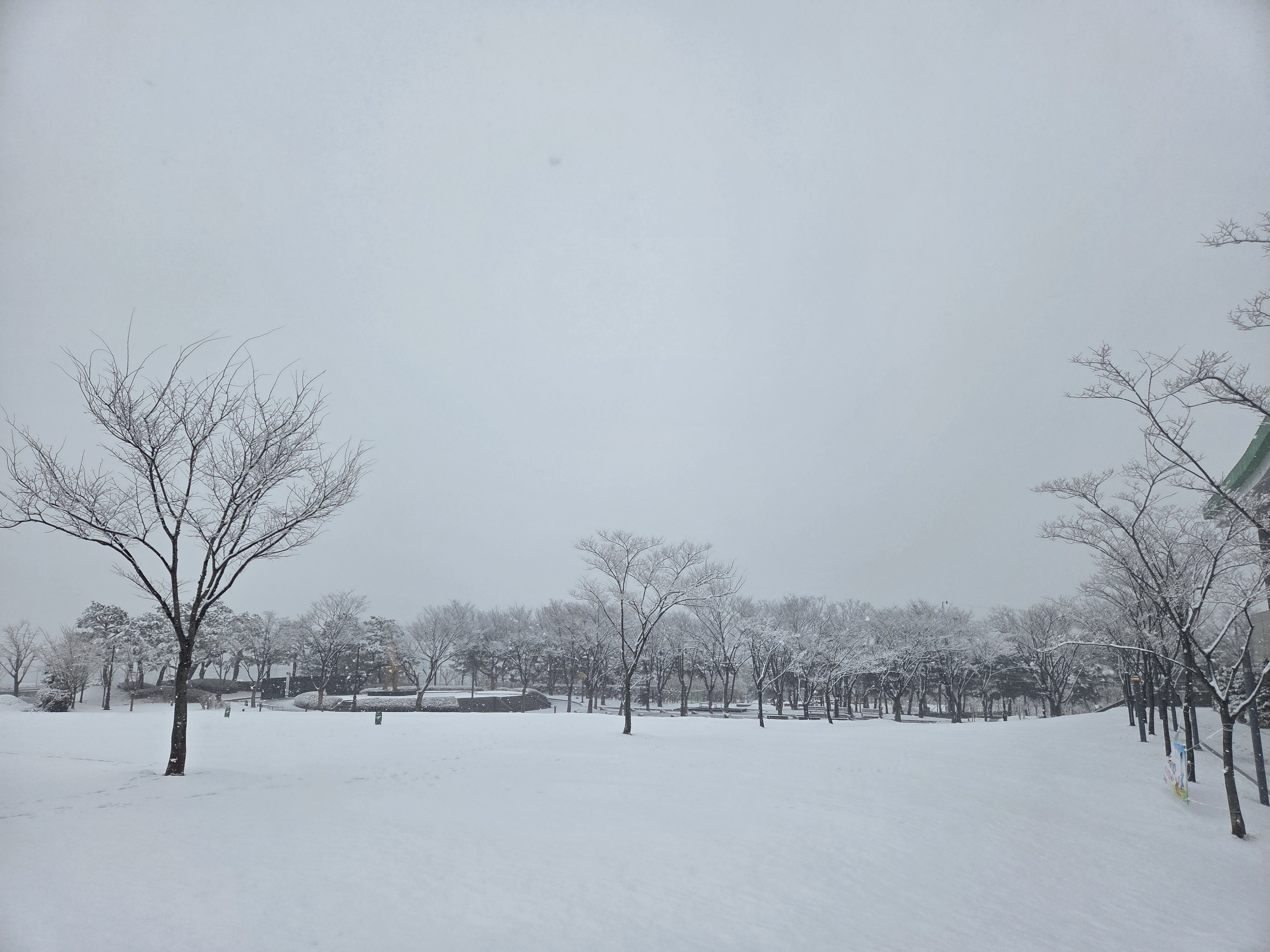 Winter View, 2026 첨부 이미지