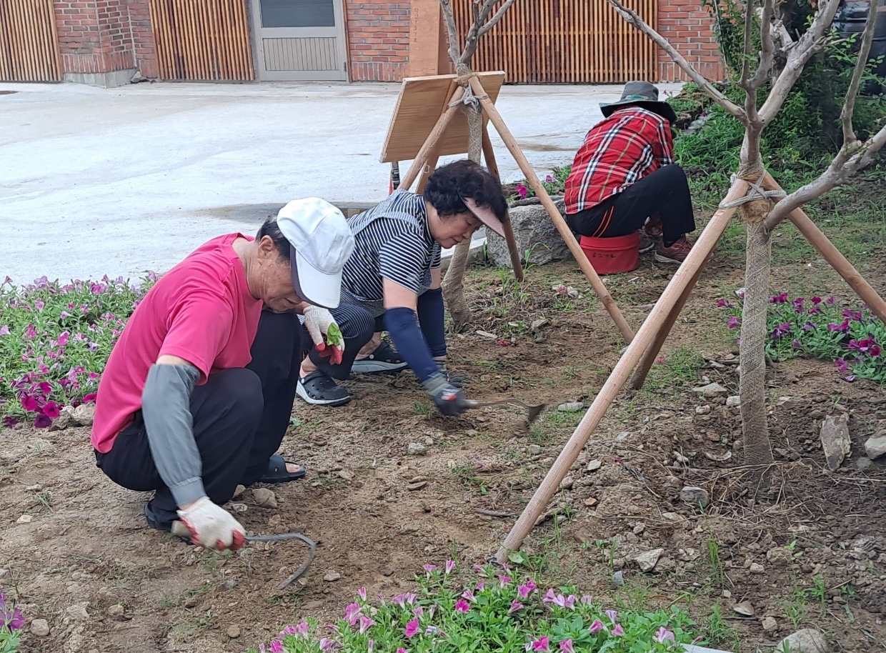 [선주원남동] 우리 마을, 우리 손으로 가꾸어요 첨부 이미지