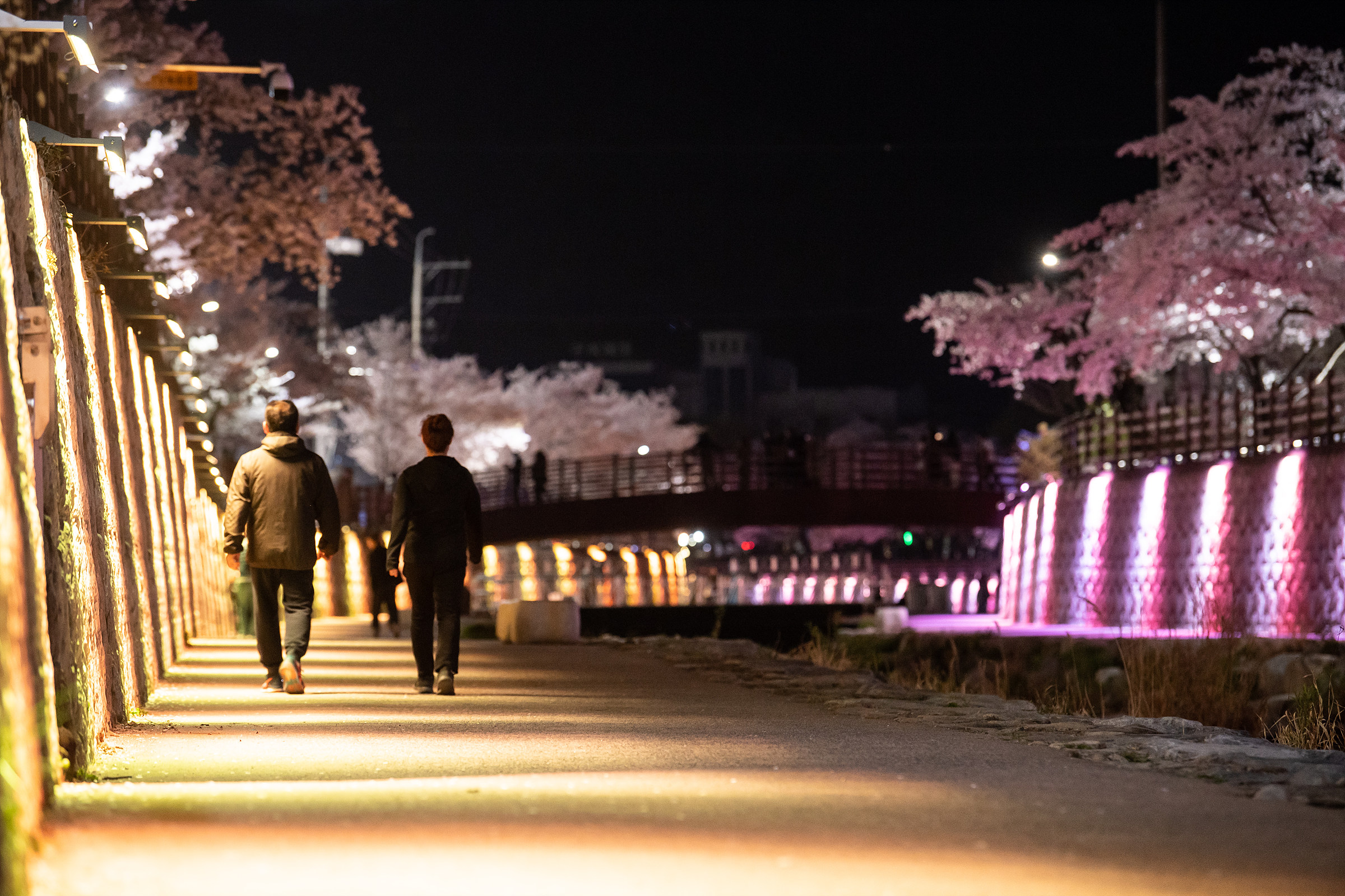 [선주원남동]  구미시 금오천 산책로에 놀러오세요! 첨부 이미지