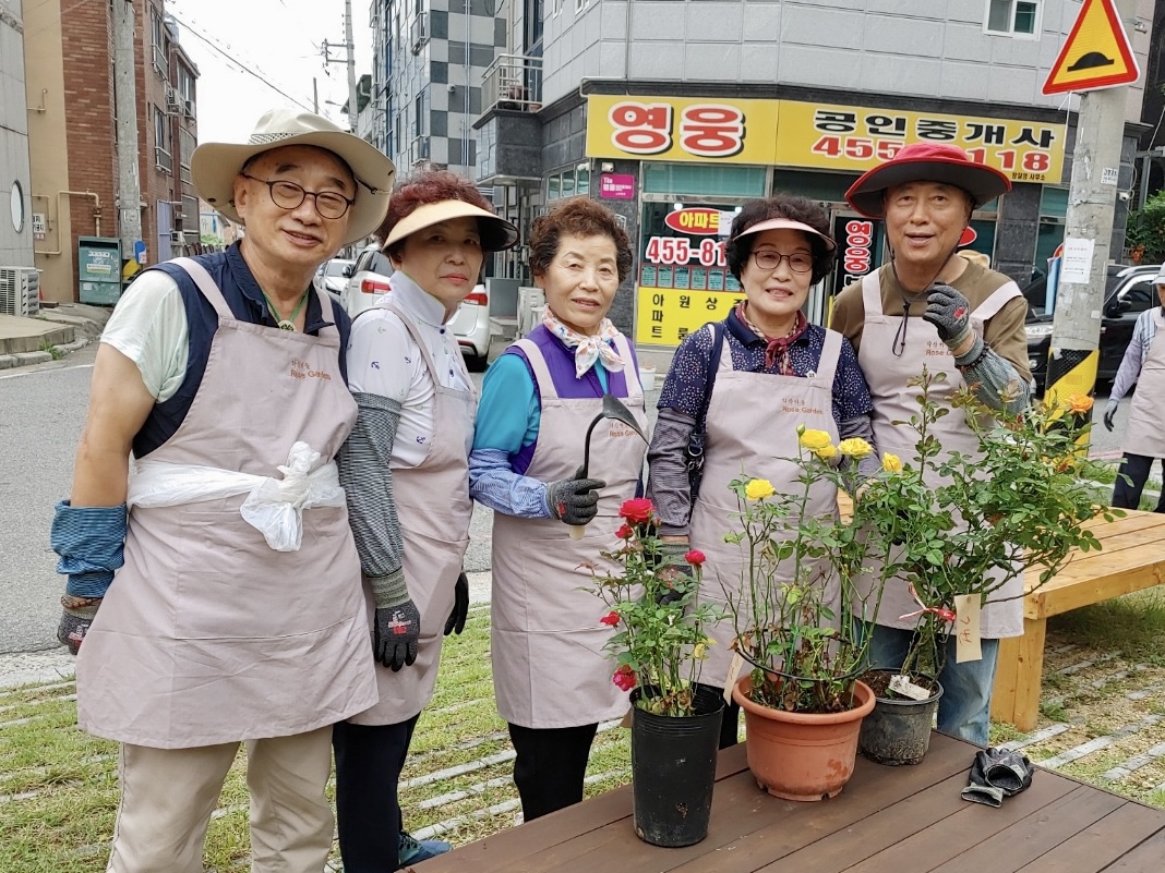 [선주원남동] 금리단길 장미정원조성 장미 식재 현장스케치 첨부 이미지