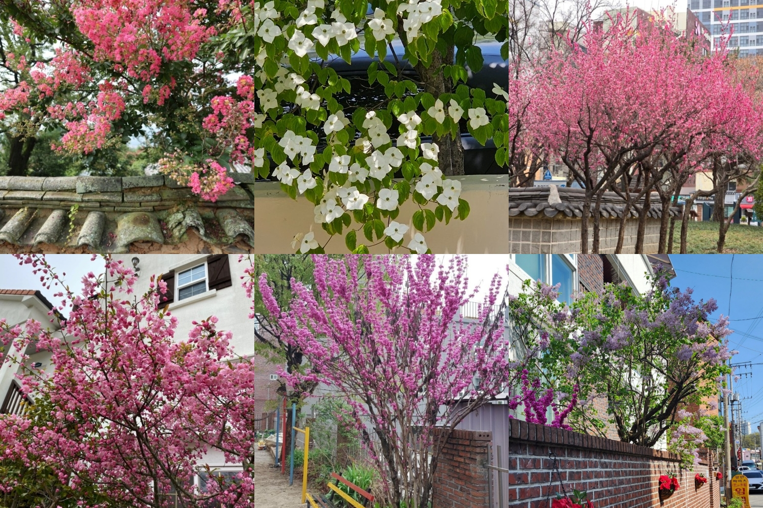 [선주원남동] 꽃으로 물든 금리단길을 함께 만들어 보아요 첨부 이미지