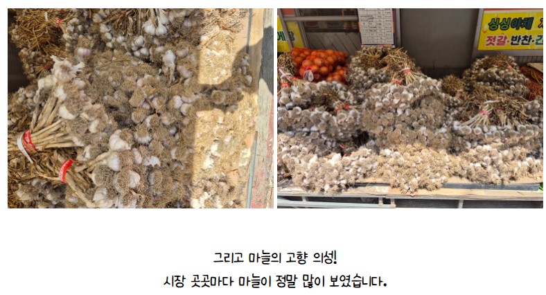 [금오시장] 마을학교 국내 선진지 견학 in 의성  첨부 이미지