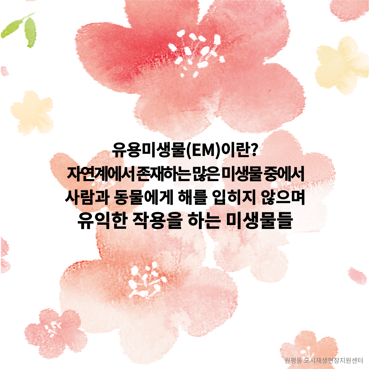 공동체 활성화 프로그램 (5회차) 첨부 이미지
