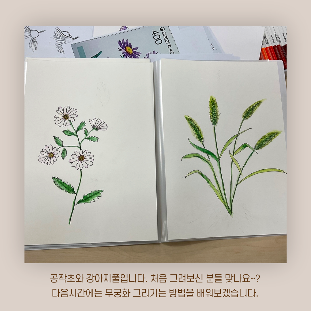 [원평동 주민제안공모사업] 마이구미 : 우리 동네 식물 일지 첨부 이미지