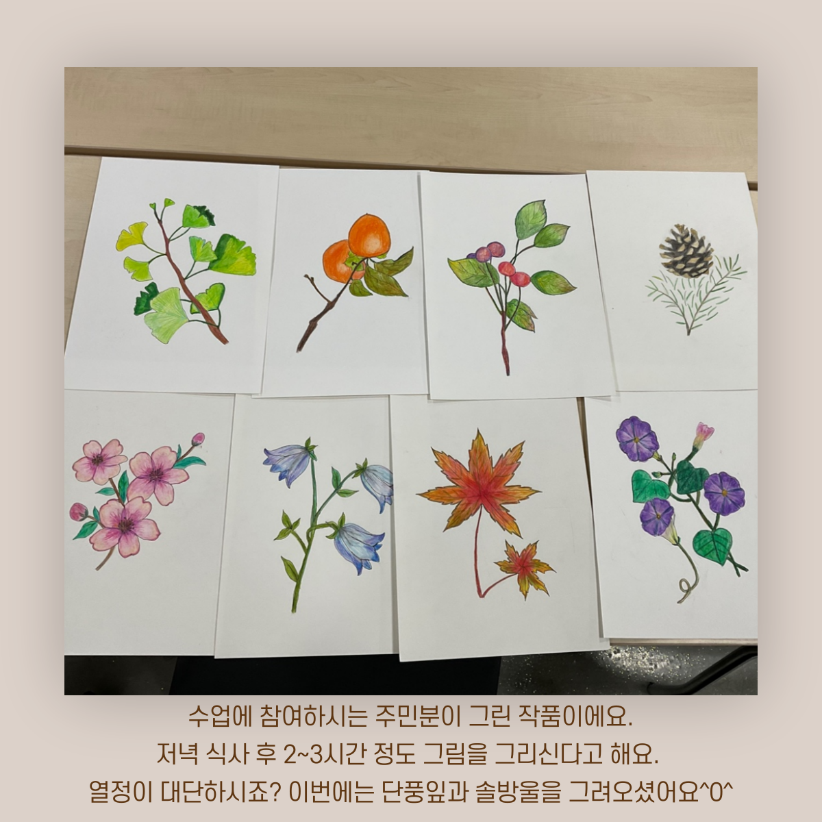 [원평동 주민제안공모사업] 마이구미 : 우리 동네 식물 일지 첨부 이미지