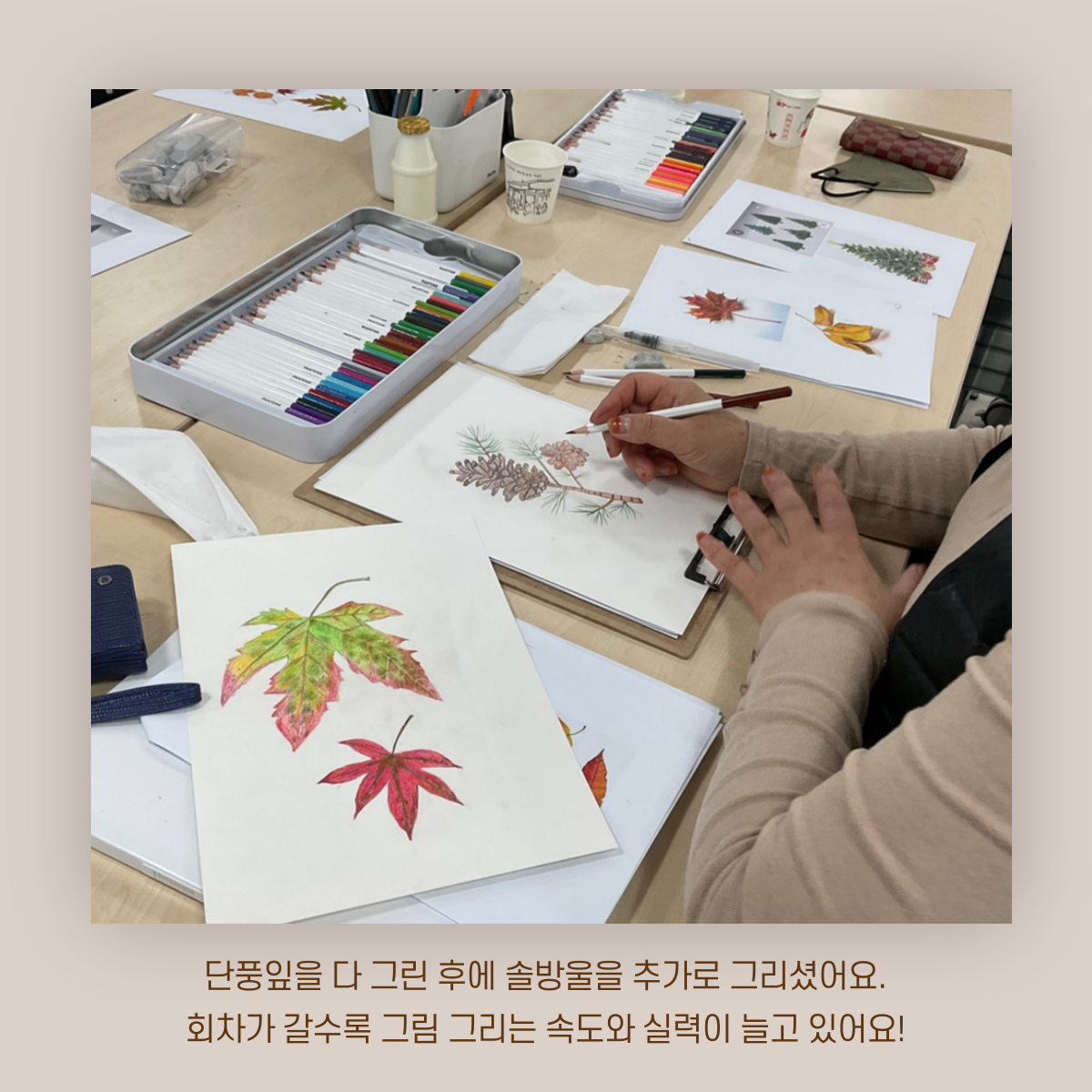 [원평동 주민제안공모사업] 마이구미 : 우리 동네 식물 일지 첨부 이미지