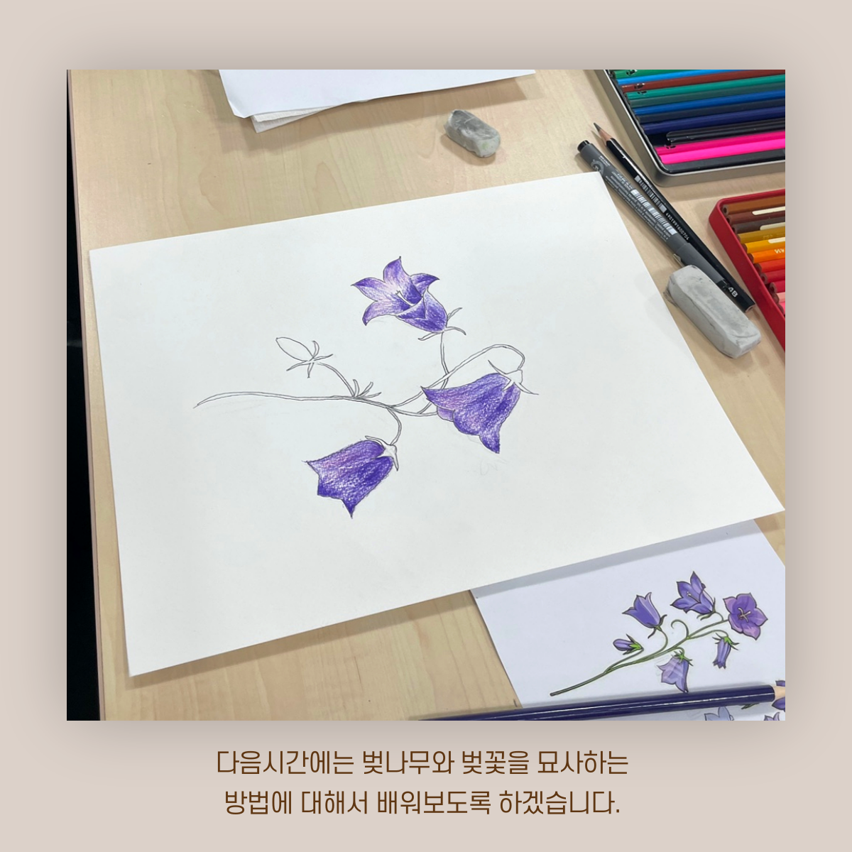 [원평동 주민제안공모사업] 마이구미 : 우리 동네 식물 일지 첨부 이미지