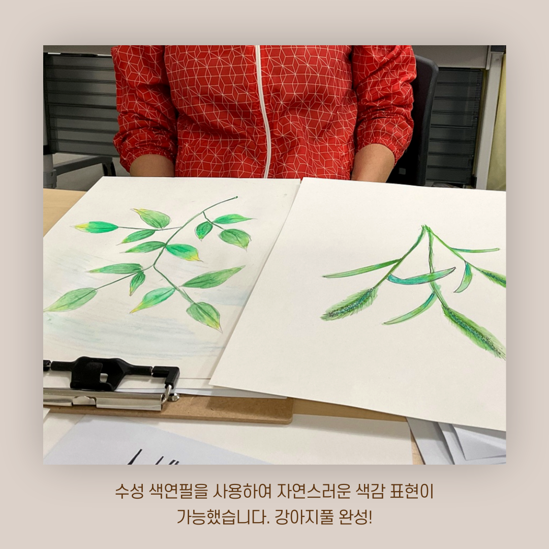 [원평동 주민제안공모사업] 마이구미 : 우리 동네 식물 일지 첨부 이미지