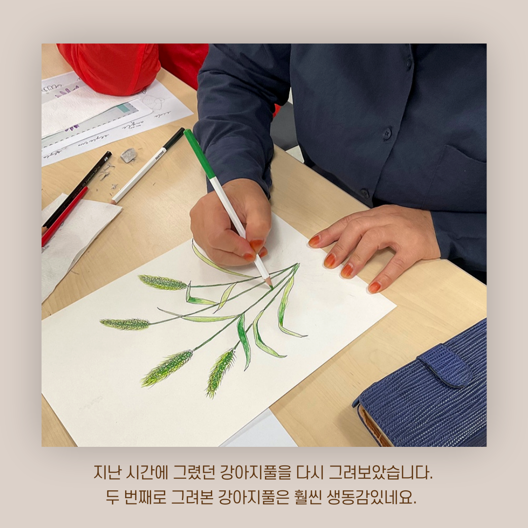 [원평동 주민제안공모사업] 마이구미 : 우리 동네 식물 일지 첨부 이미지