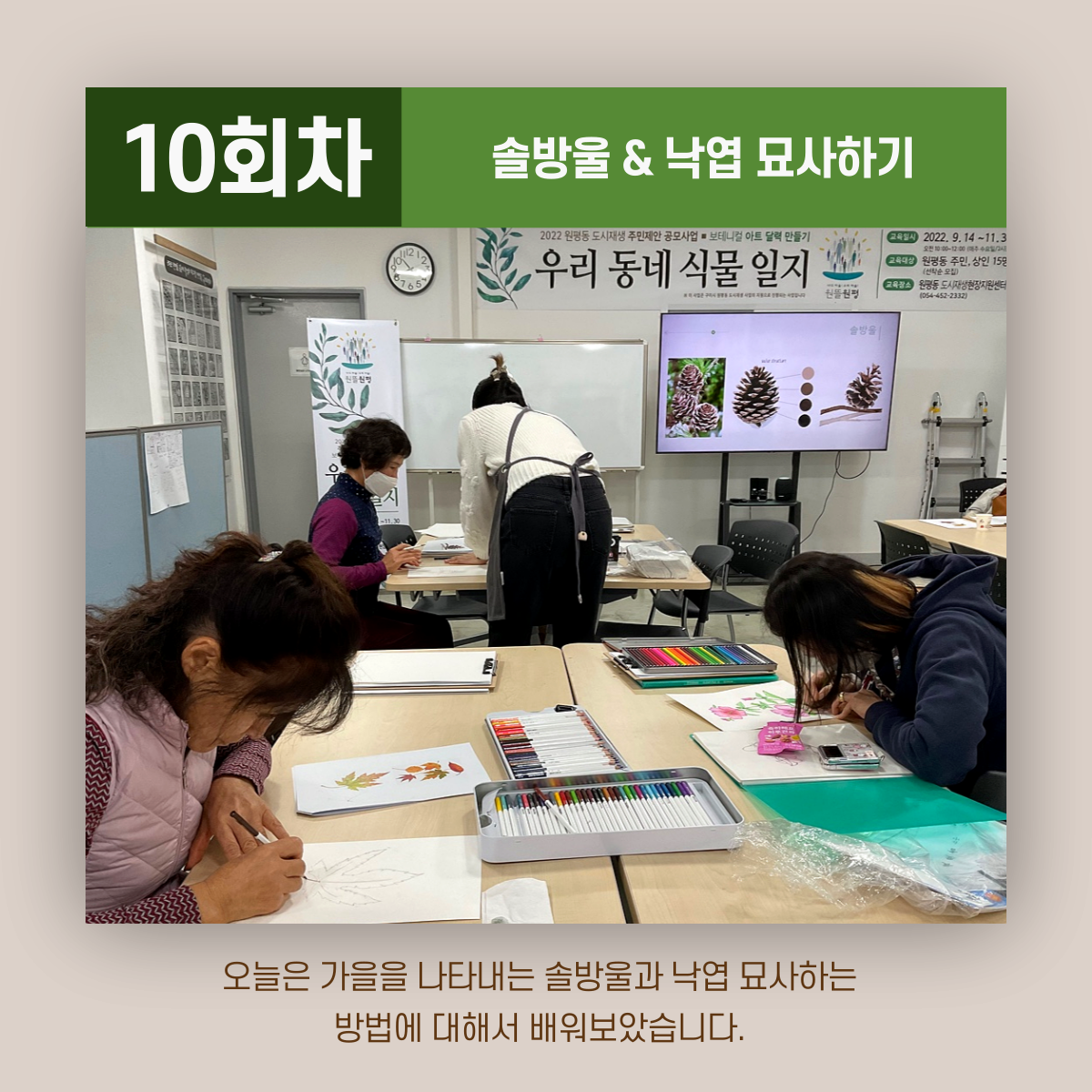 [원평동 주민제안공모사업] 마이구미 : 우리 동네 식물 일지 첨부 이미지