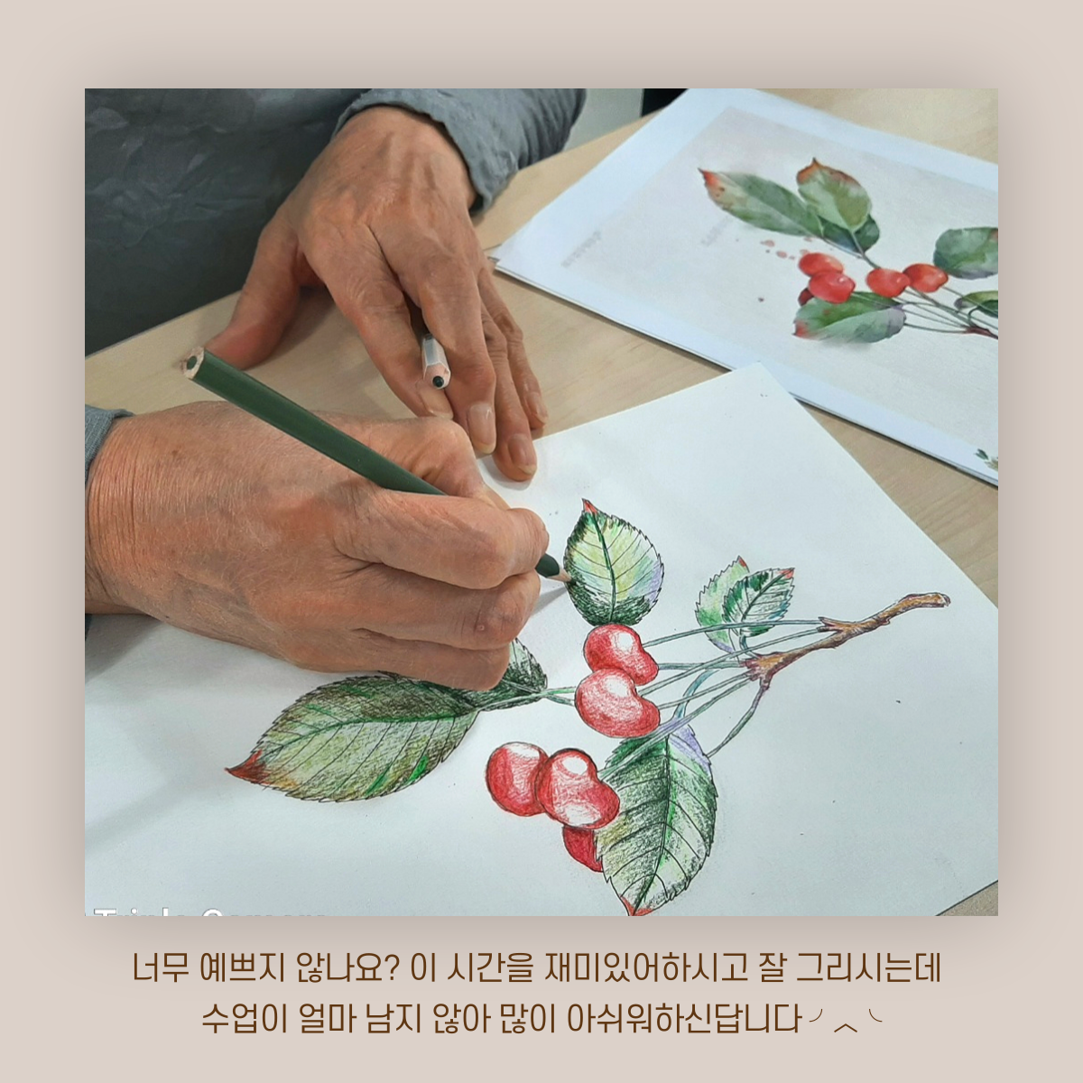 [원평동 주민제안공모사업] 마이구미 : 우리 동네 식물 일지 첨부 이미지